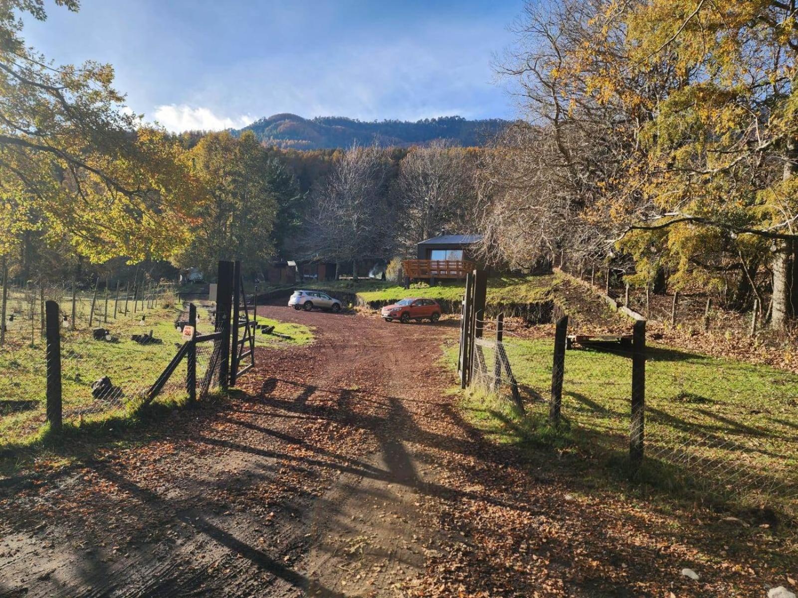 Hualle Sur Cerca Huilo Huilo Panguipulli